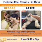 Lime Sulfur Dip – Concentrated Sulfur Solution for Itchy Skin, Mange, Ringworm & Dermatitis – Safe for Dogs, Cats, Horses, and Livestock-2