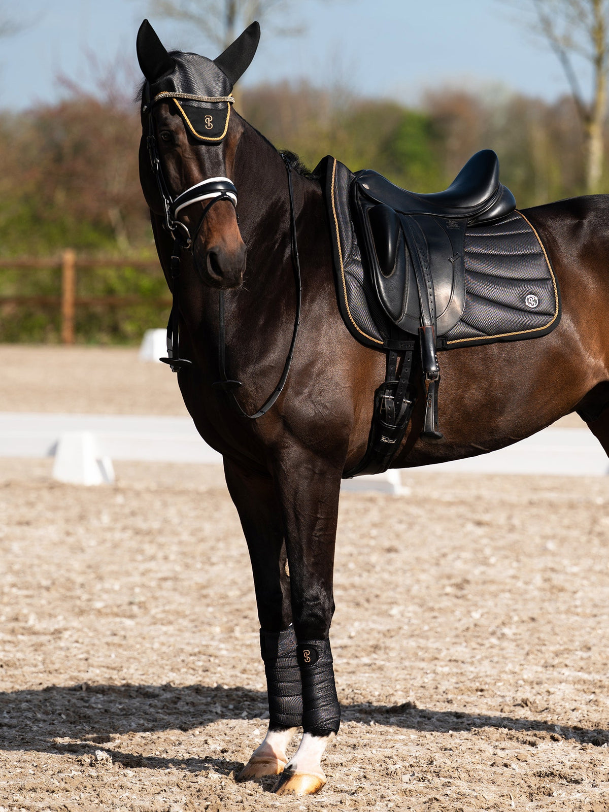 Airflow Mesh Dressage Saddle Pad - Black