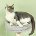 Large Cat Tree Tower with Plush Perch for Indoor Cats