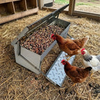 Automatic Treadle Chicken Feeder Galvanized Steel Grey