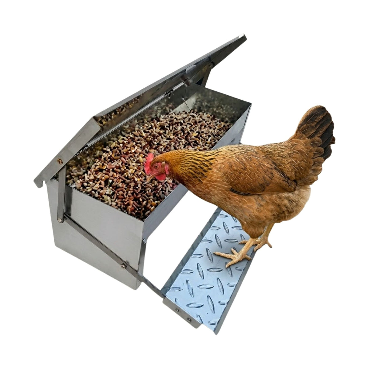 Automatic Treadle Chicken Feeder Galvanized Steel Grey