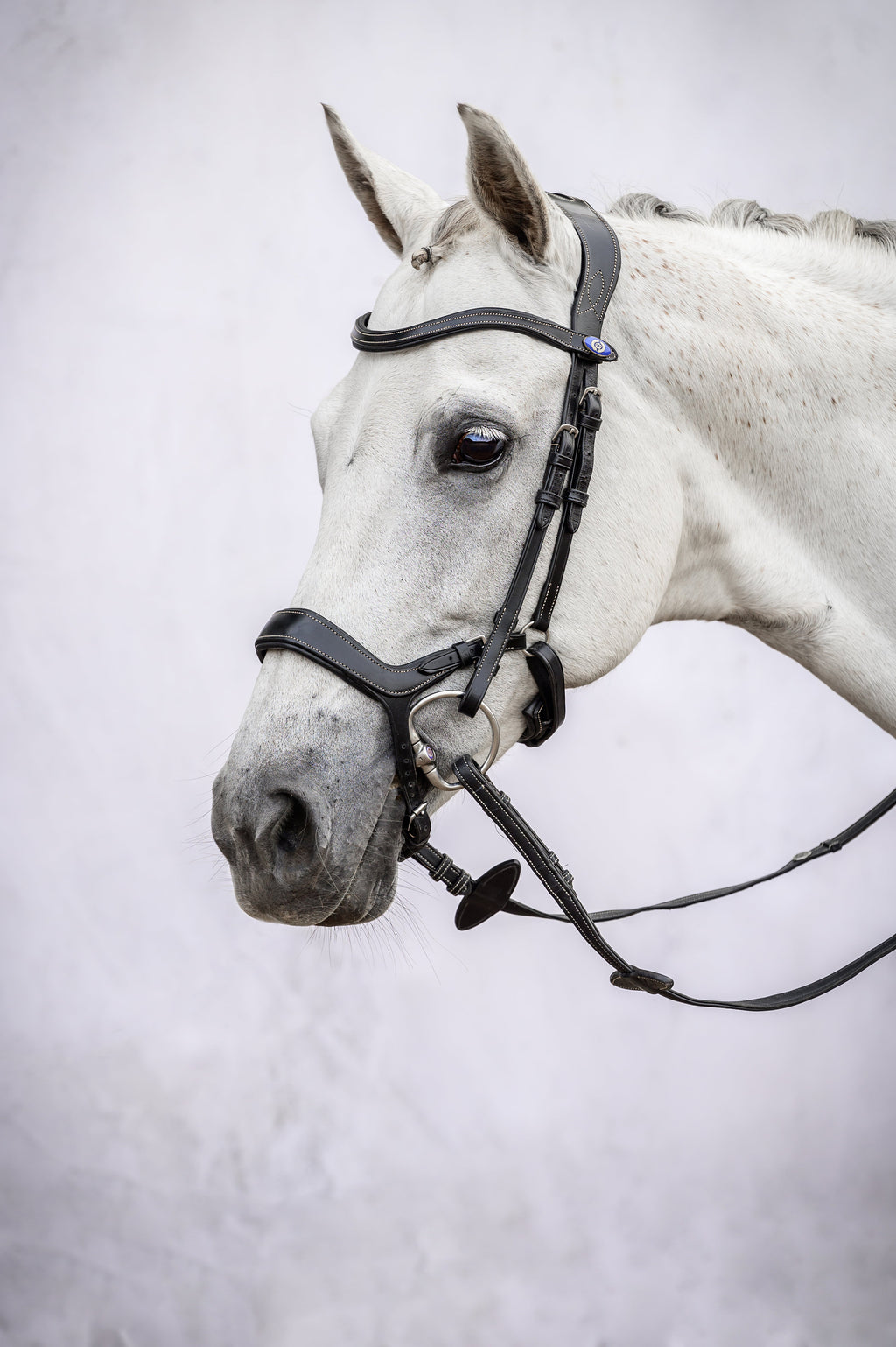 Bridle Pioneer - Black Leather