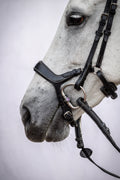 Bridle Pioneer - Black Leather