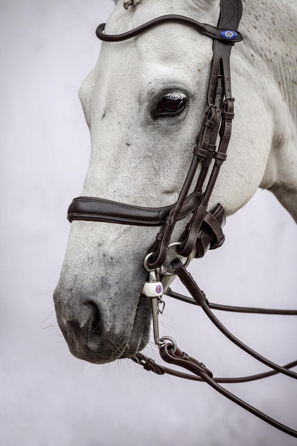Double Bridle Paragon - Black Leather