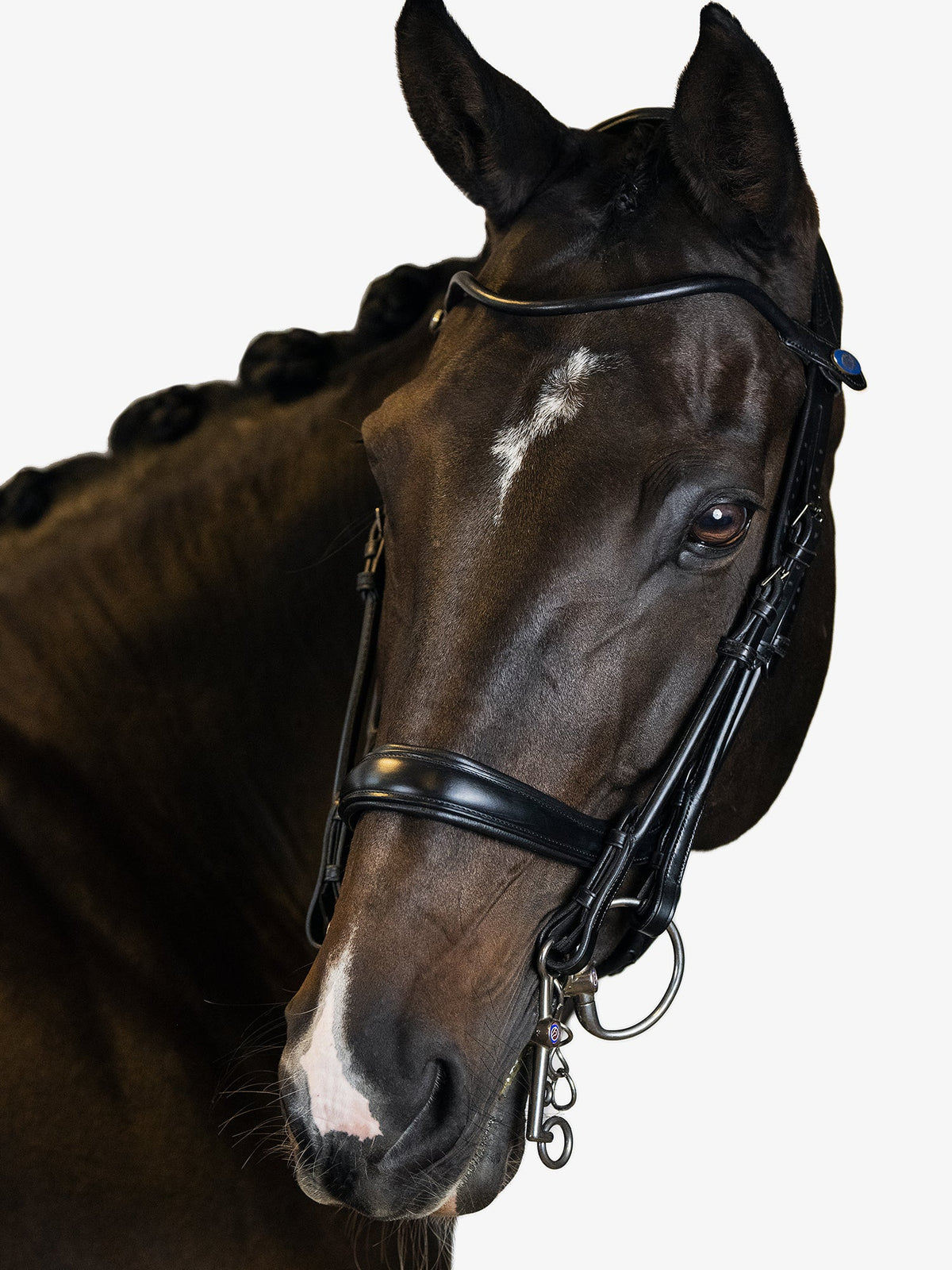 Double Bridle Paragon - Black Leather