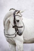 Double Bridle Paragon - Black Leather