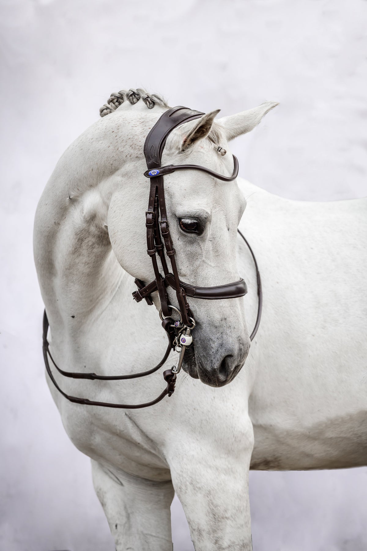 Double Bridle Paragon - Black Leather