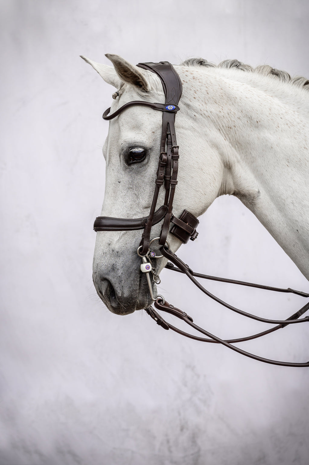 Double Bridle Paragon - Black Leather