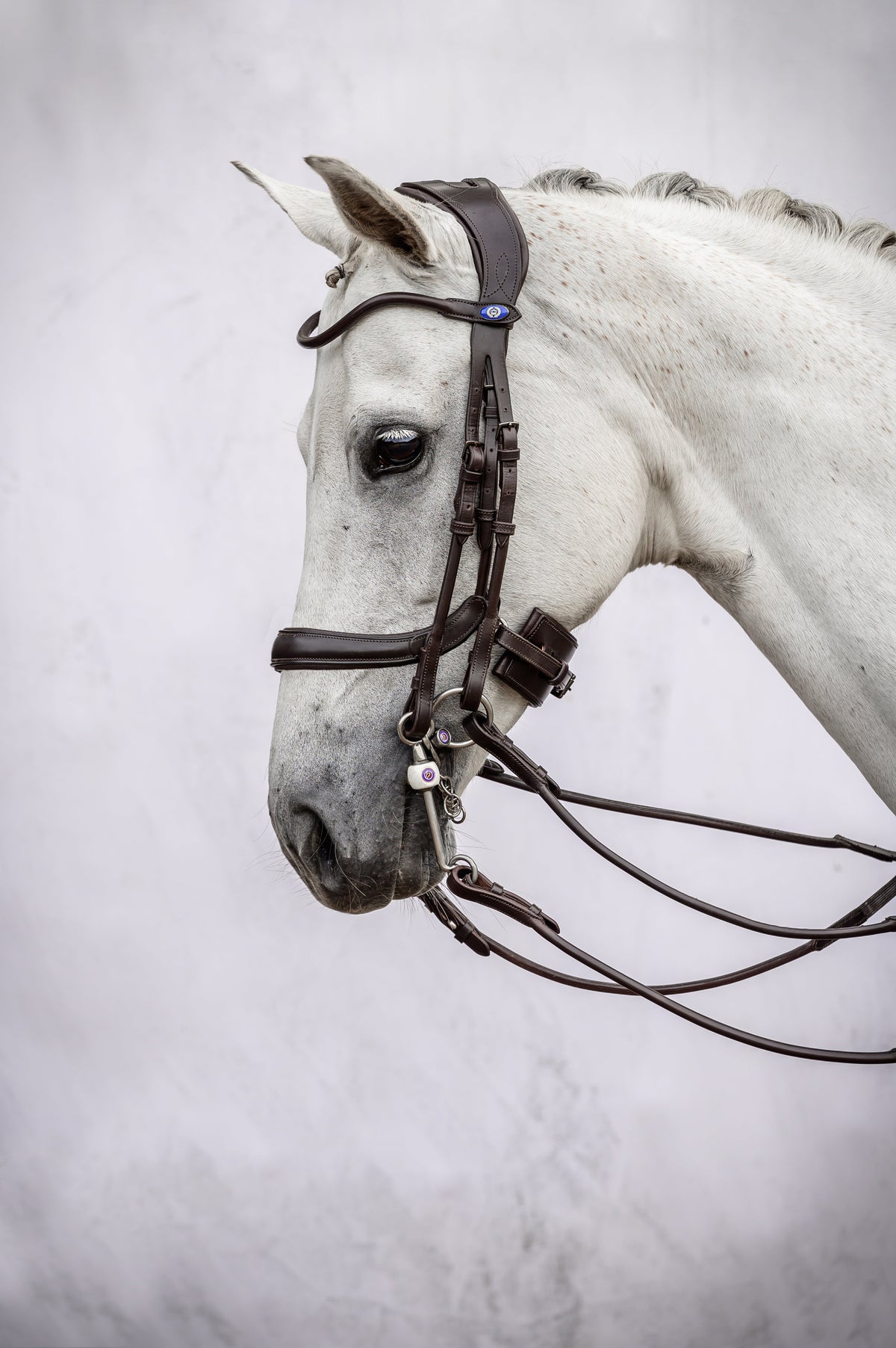 Double Bridle Paragon - Black Leather