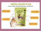 Garden Forage Blend