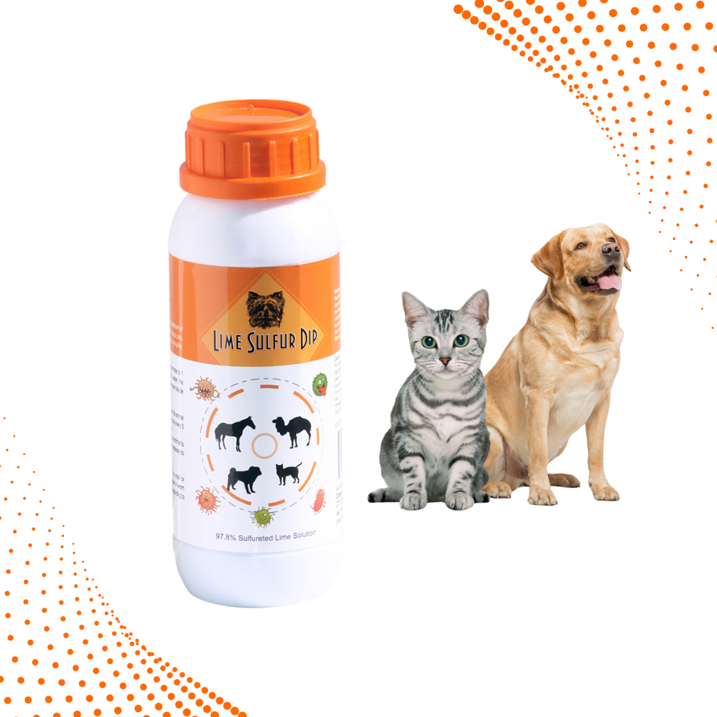 Lime Sulfur Dip – Concentrated Sulfur Solution for Itchy Skin, Mange, Ringworm & Dermatitis – Safe for Dogs, Cats, Horses, and Livestock-0