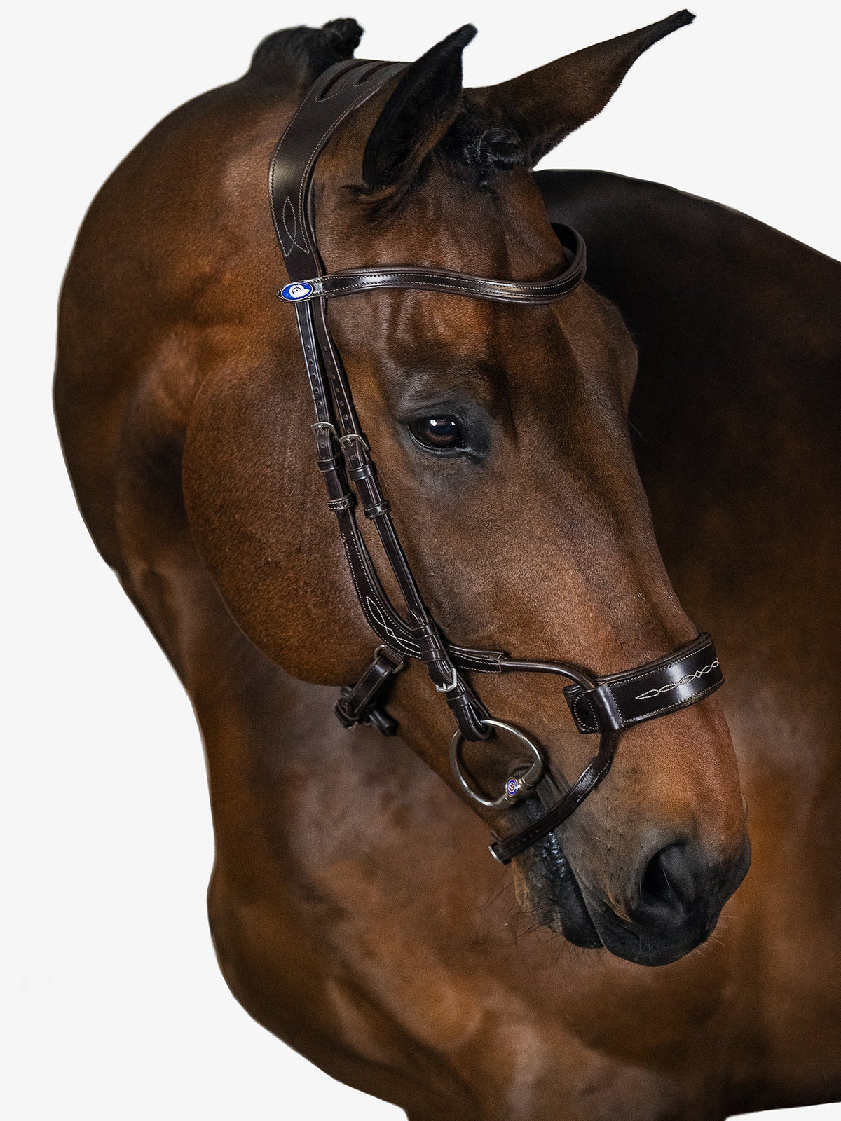 Bridle High Jump - Brown Leather