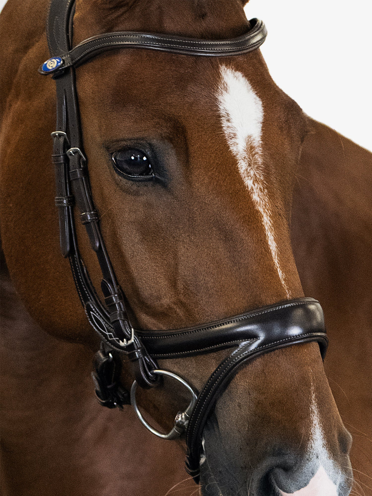 Bridle Jump Off - Brown Leather