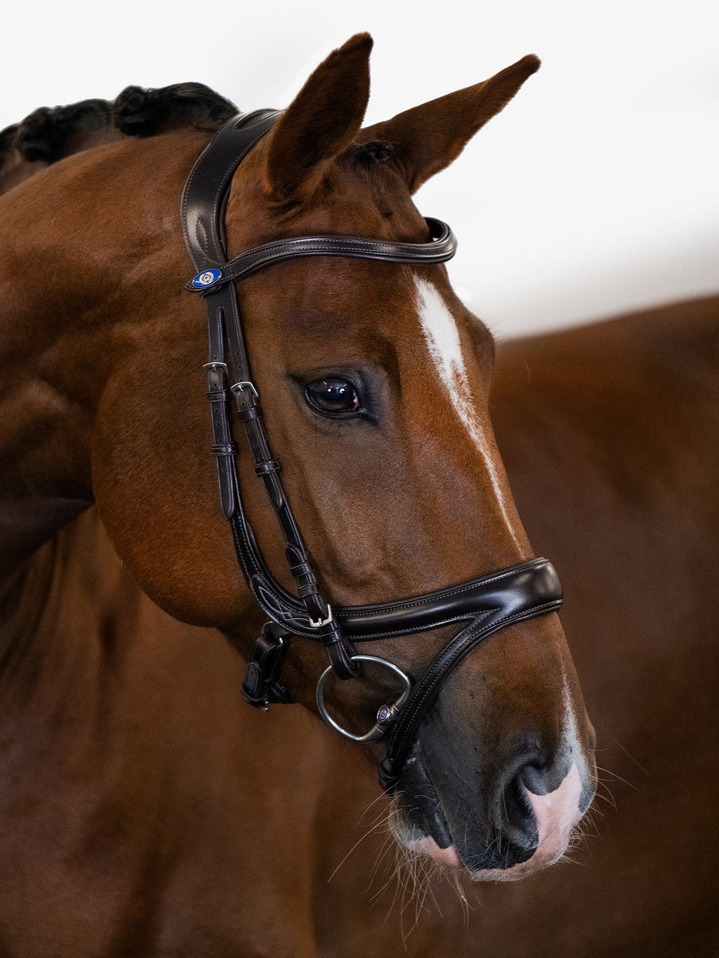 Bridle Jump Off - Brown Leather