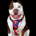 Superdog Harness