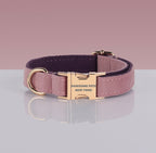 PAWSOME DOG COLLAR - #13-0