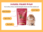 Summer Forage Blend