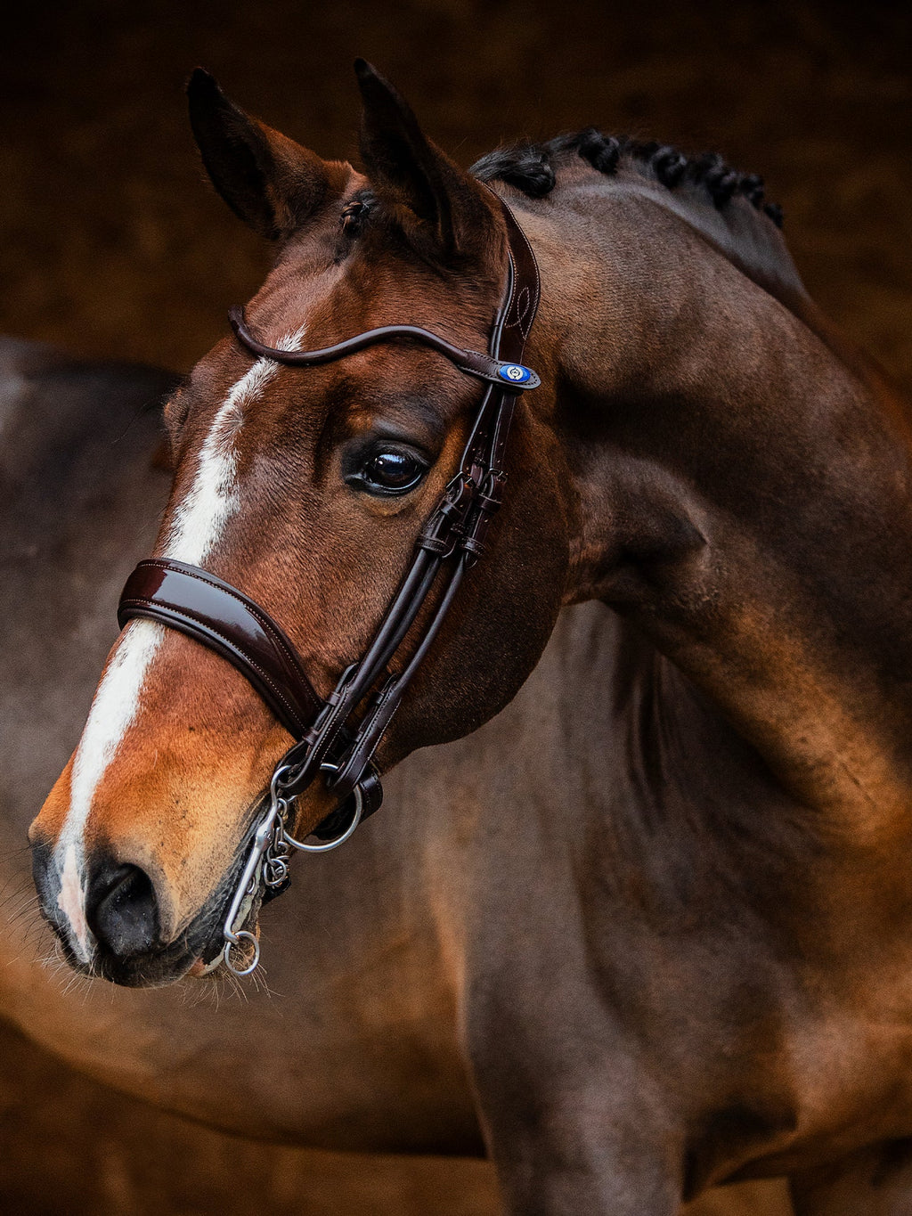 Double Bridle Passage - Brown | Lacquer