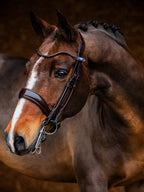 Double Bridle Passage - Brown | Lacquer