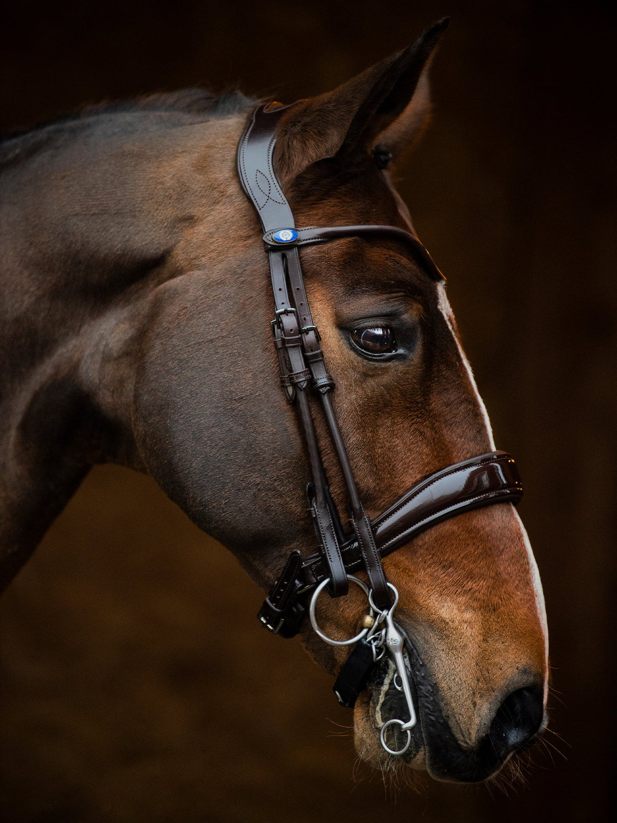 Double Bridle Passage - Brown | Lacquer