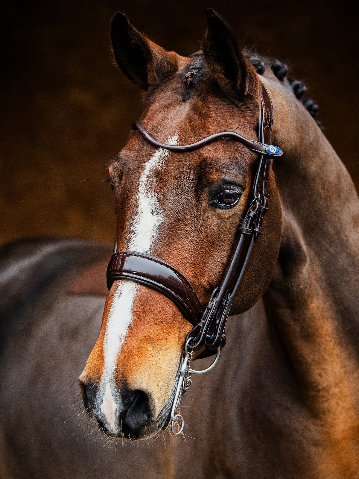 Double Bridle Passage - Brown | Lacquer