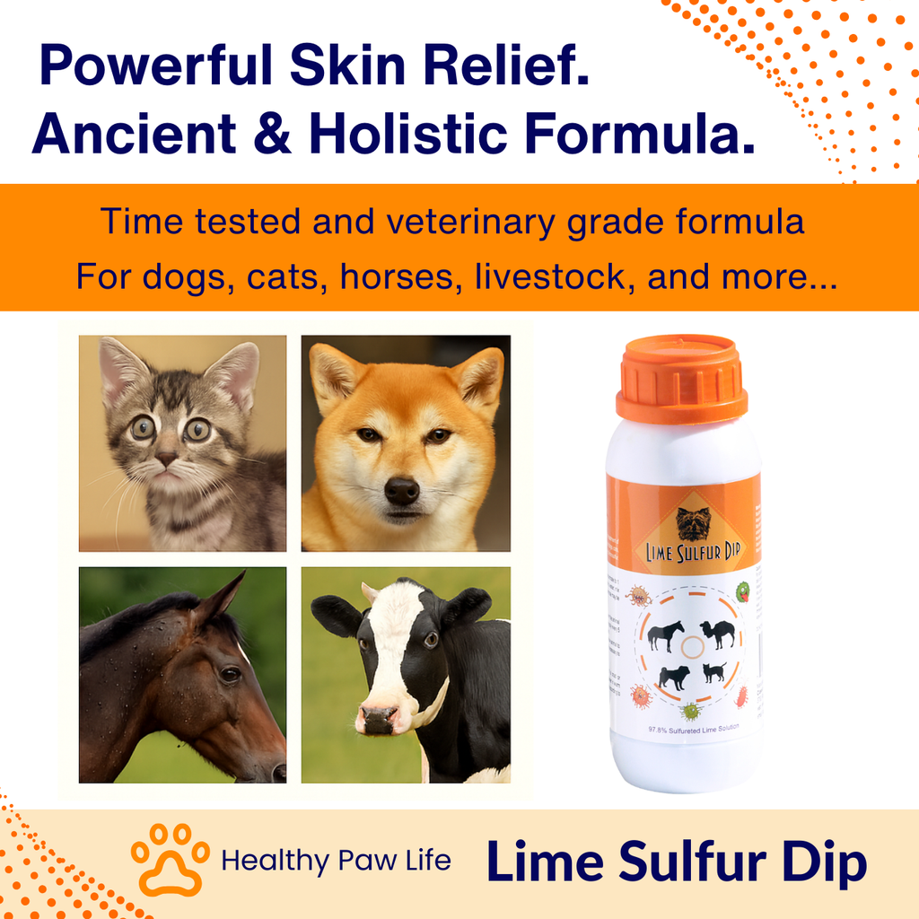 Lime Sulfur Dip – Concentrated Sulfur Solution for Itchy Skin, Mange, Ringworm & Dermatitis – Safe for Dogs, Cats, Horses, and Livestock-1