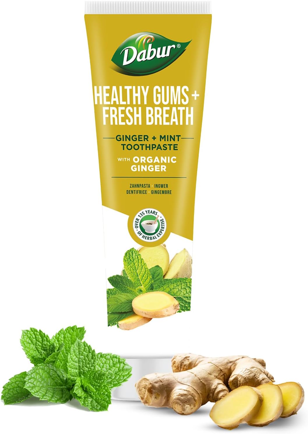 Dabur Healthy Gums Fresh Breath Ginger And Mint Toothpaste 100ml-1