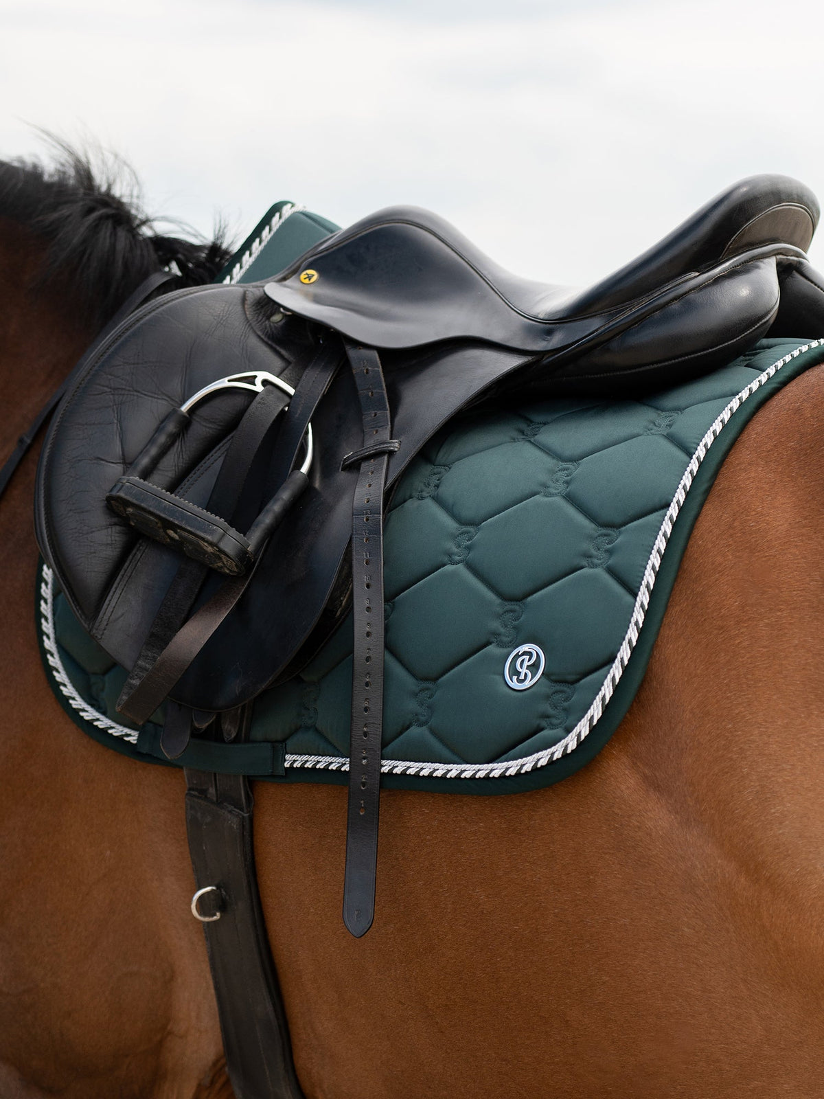 Saddle Pad Jump Signature - Midnight green