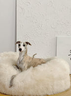 Oval Natural Sheepskin Pet Bed - White-1