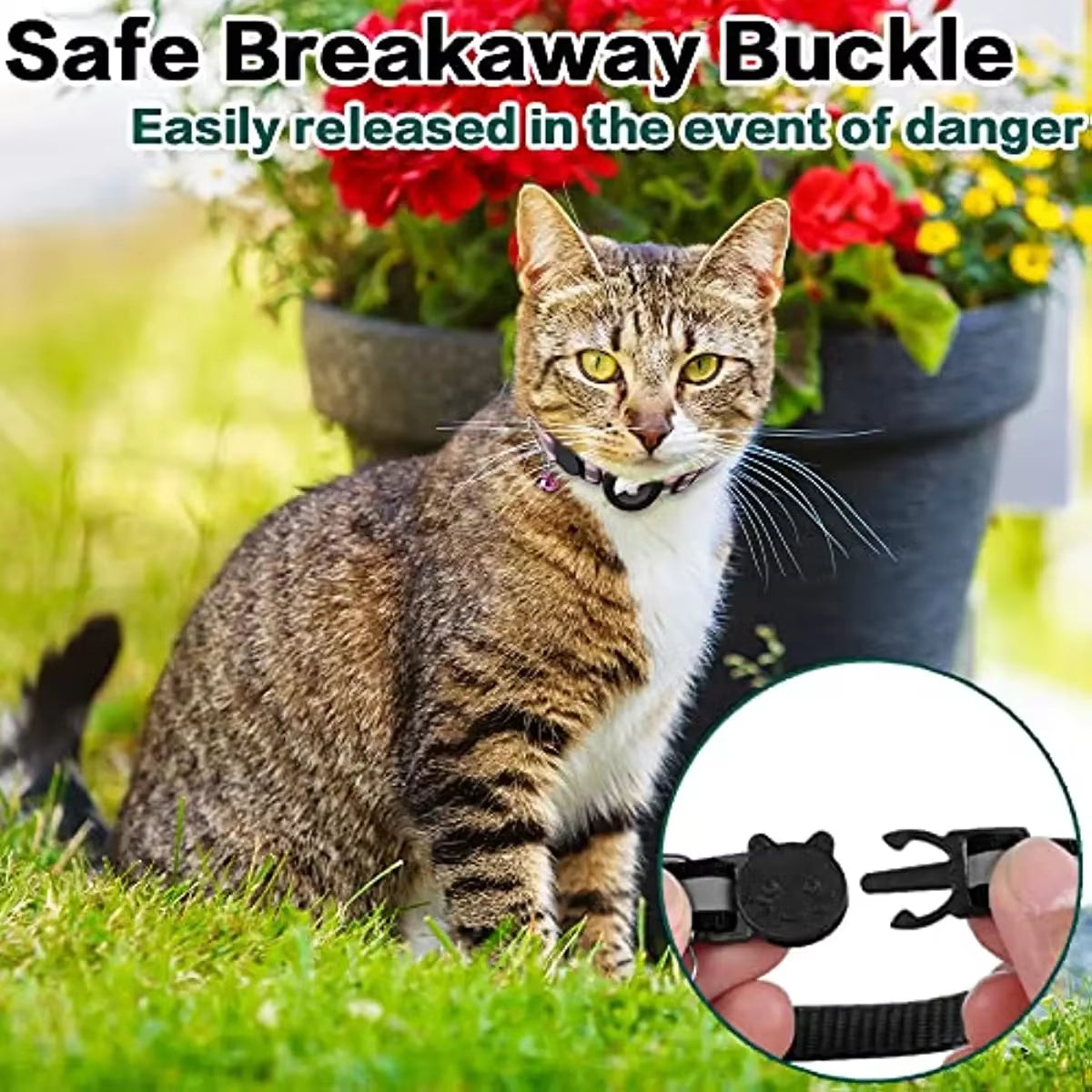 Breakaway Cat Collar