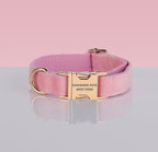 PAWSOME DOG COLLAR - #3-0