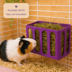 Guinea Pig & Rabbit Water Bottle Holder & Hay Rack – Electric Purple | Cage & Wall Mounted | Made in Britain