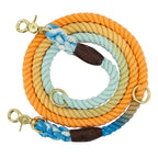 Colorful Gradient Dog Training Leash-2