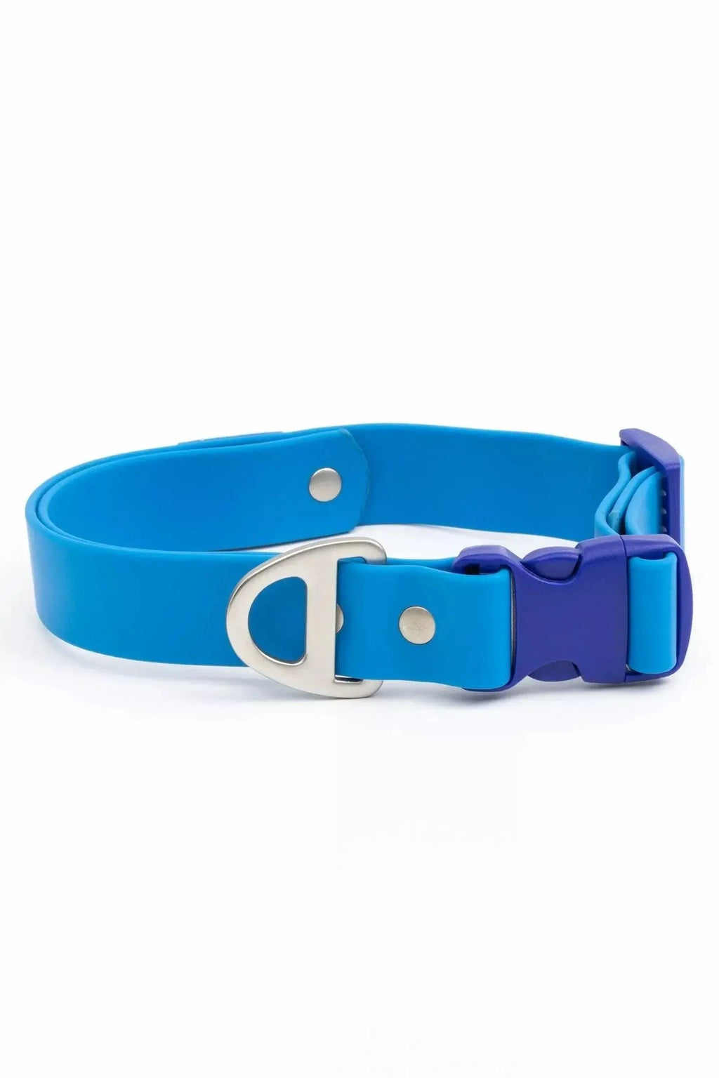 Dockside Adventures Waterproof Dog Collar-0