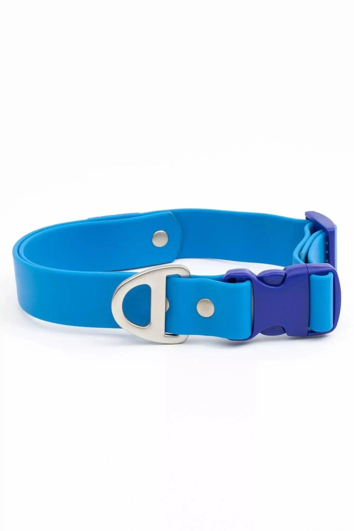 Dockside Adventures Waterproof Dog Collar-0