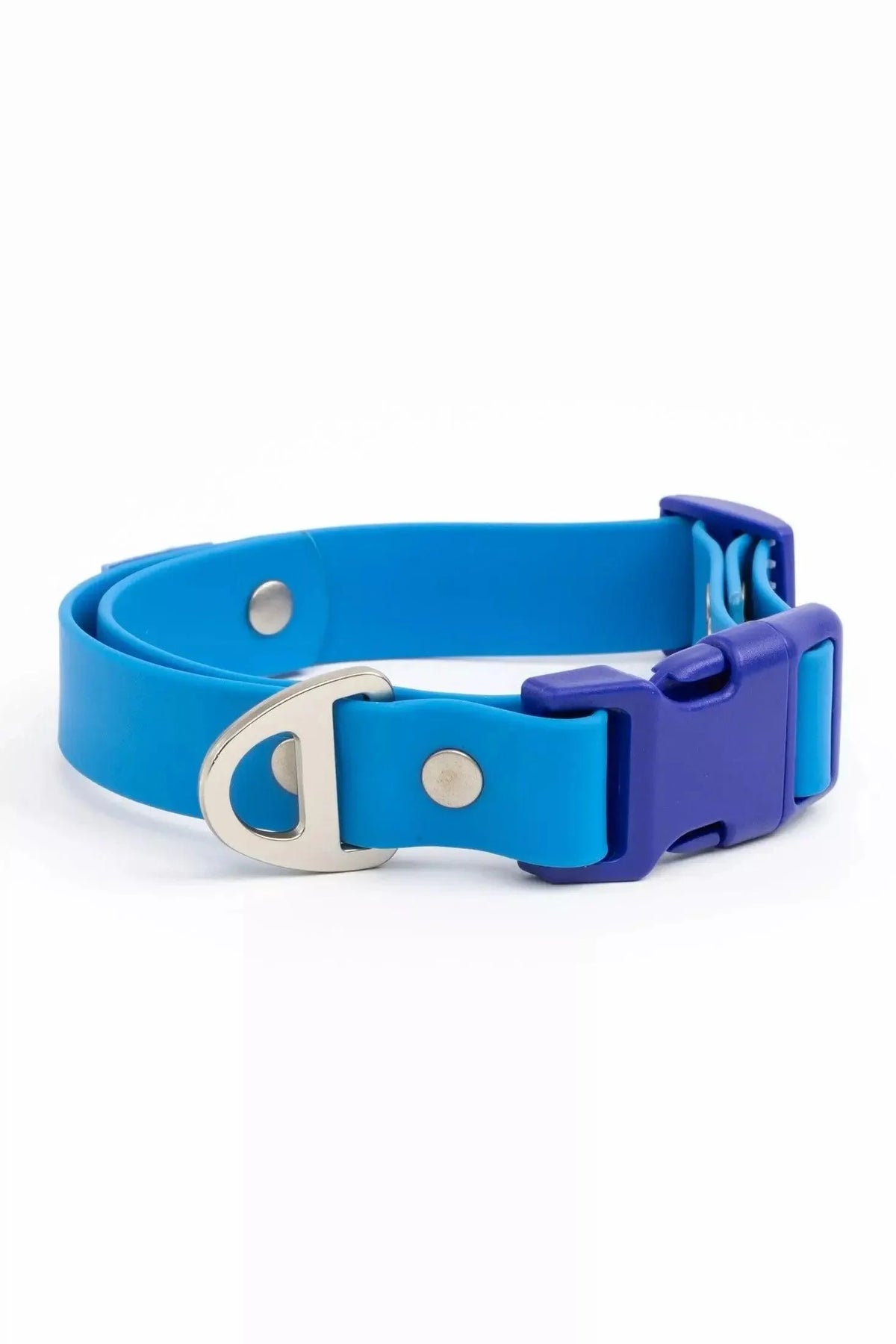 Dockside Adventures Waterproof Dog Collar-4