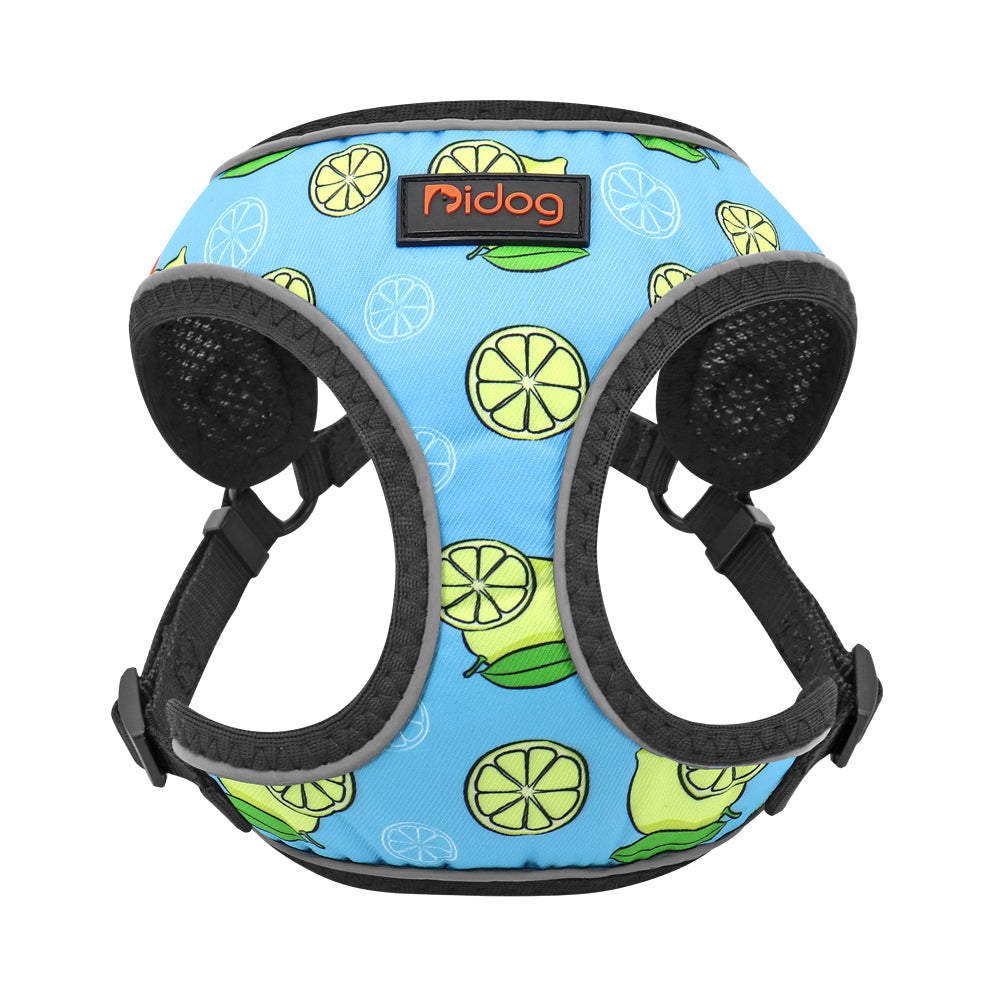 Dog Leash Vest-1