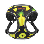Dog Leash Vest-2