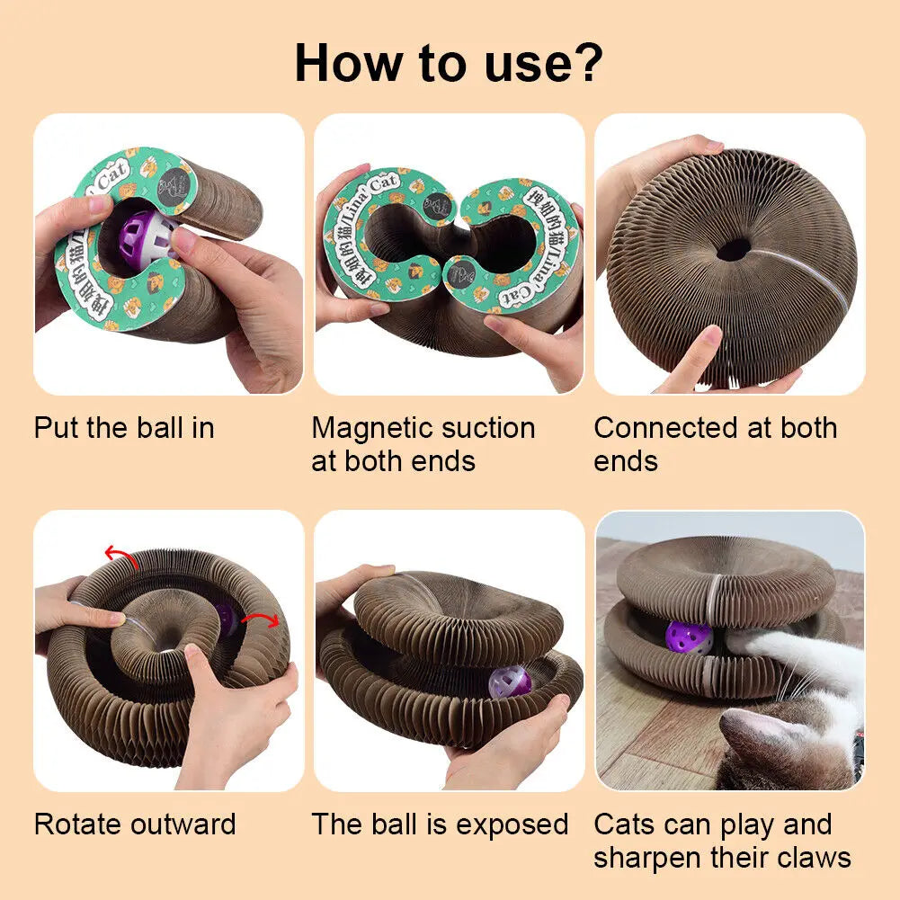 Foldable Cat Scratching Board & Play Bed