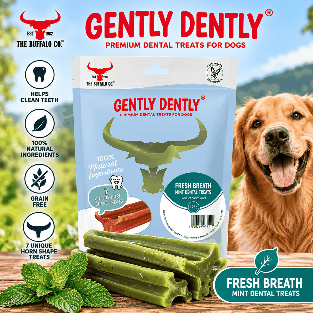 Gently Dently- Fresh Breath Mint Dental Treats for Dogs 175g-1