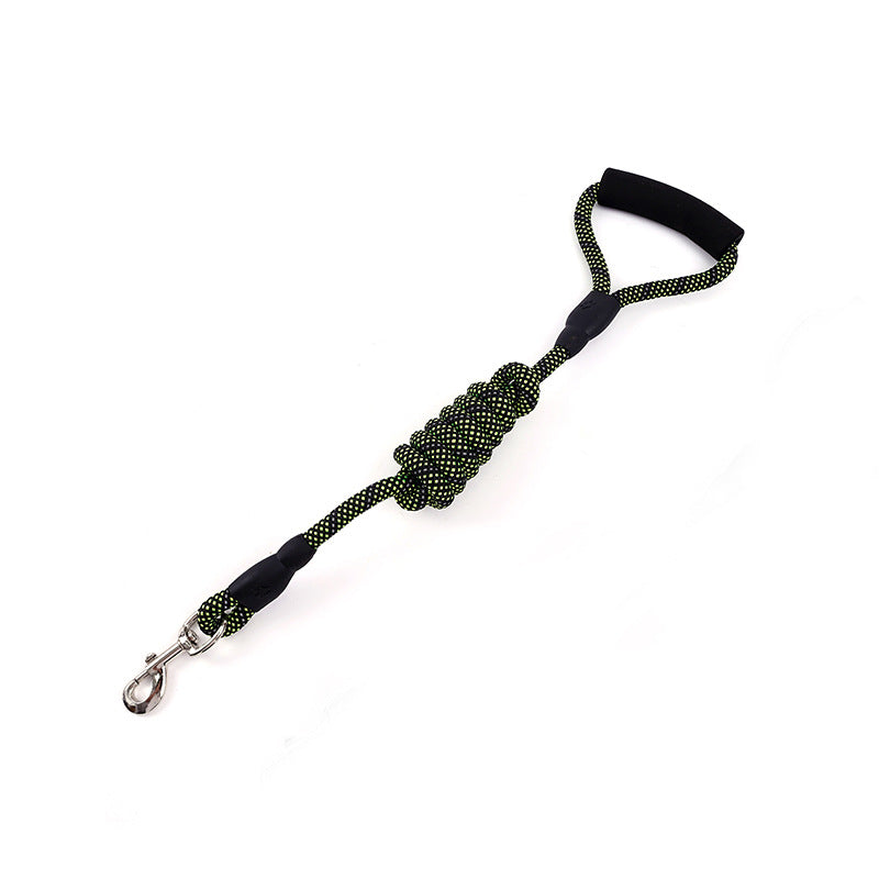 Golden Nylon Dog Traction Rope-1