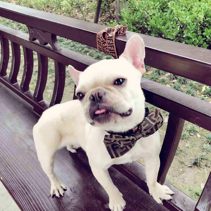 Handsome Dog Bow Tie Collar-2