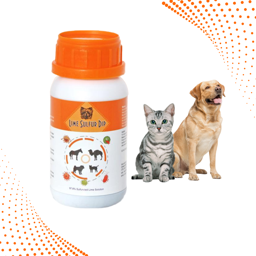 Lime Sulfur Dip – Concentrated Sulfur Solution for Itchy Skin, Mange, Ringworm & Dermatitis – Safe for Dogs, Cats, Horses, and Livestock-6