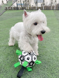 Lovely Paw Football Dog Toy-1