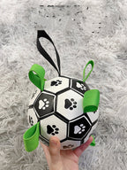 Lovely Paw Football Dog Toy-2