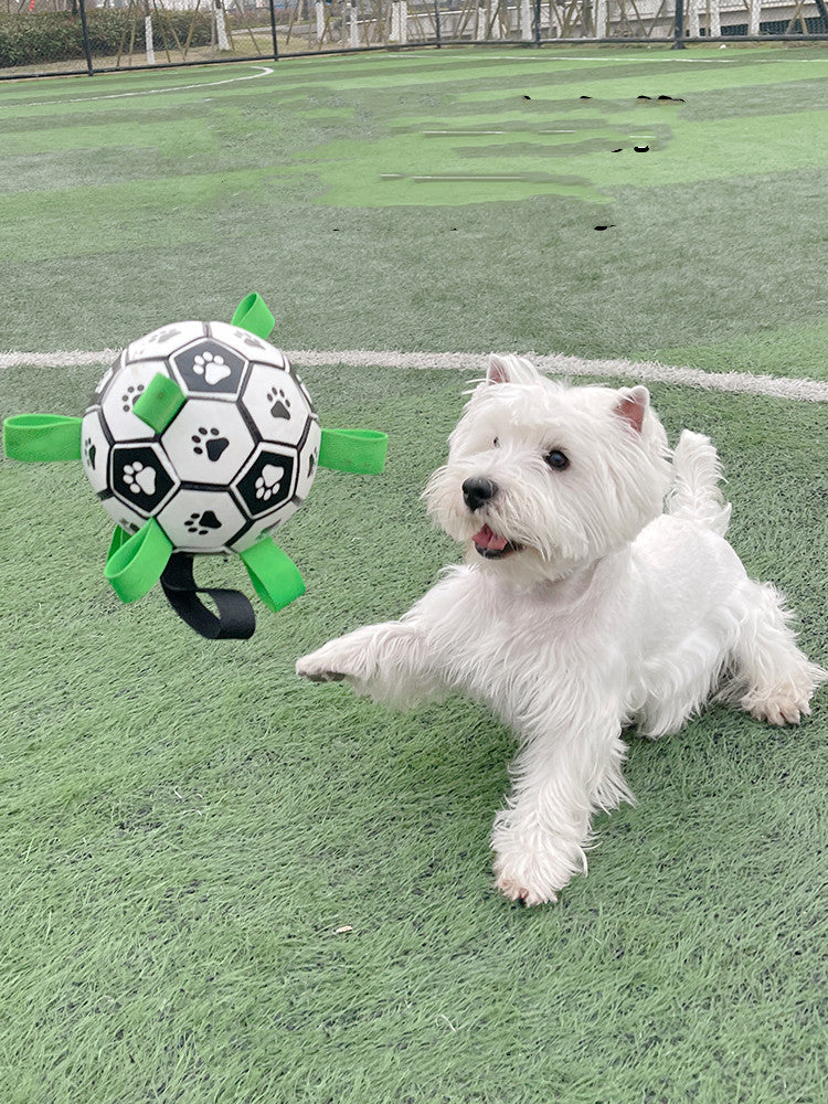 Lovely Paw Football Dog Toy-3
