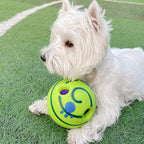 Lovely Paw Football Dog Toy-5