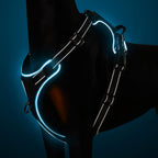 No-Pull Dog Harness-0