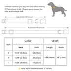 Personalized PU Leather Dog Collar and Leash-4