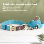 Personalized PU Leather Dog Collar and Leash-22